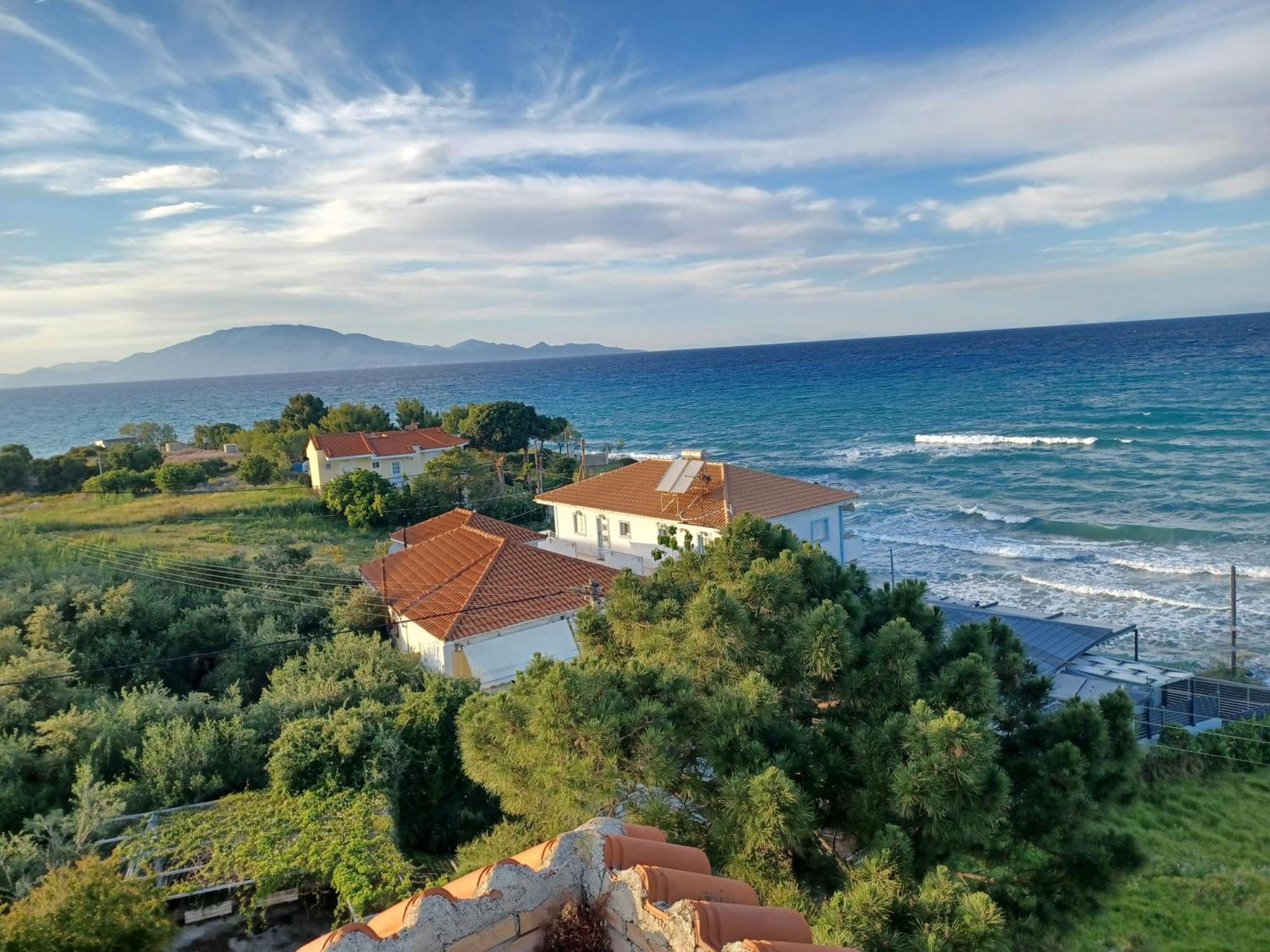 Tassos & Marios Ii * Alykanas (Zakynthos)